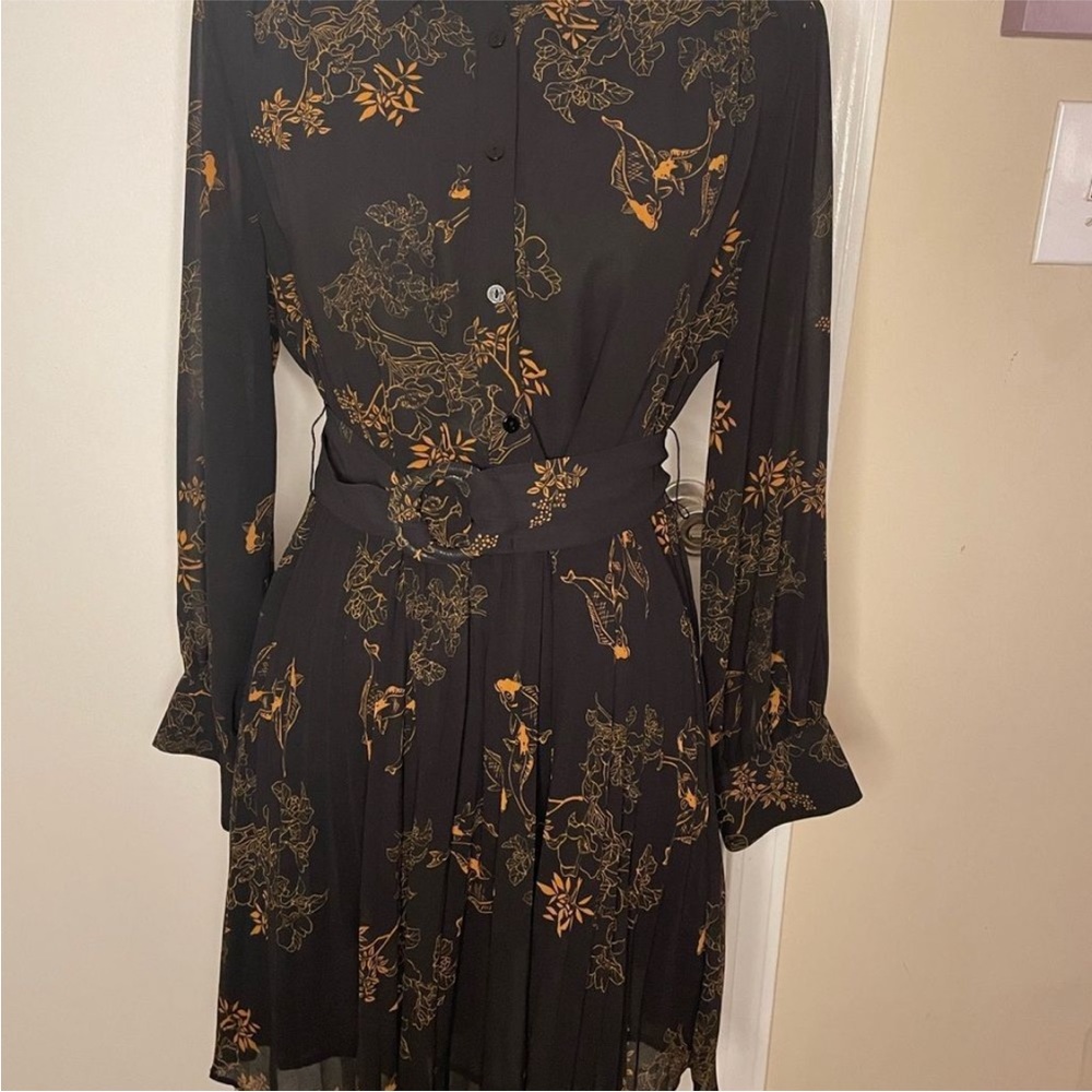 Zara Dress - button front pleated dress - Picture 2 of 12